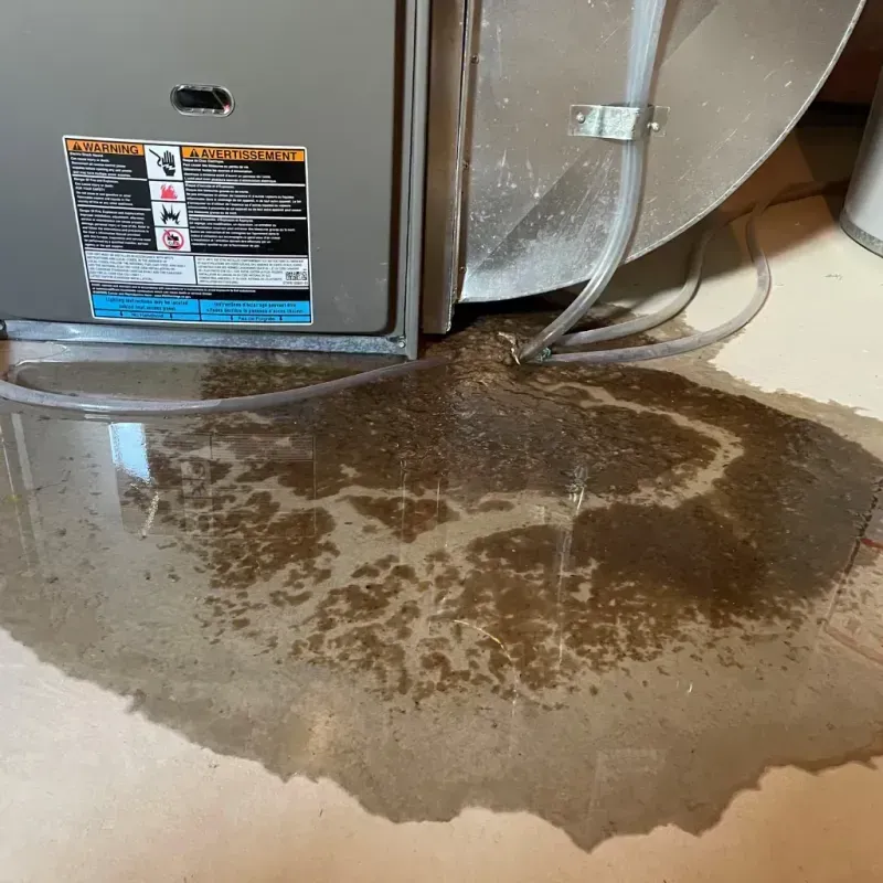 Appliance Leak Cleanup in Cass County, TX